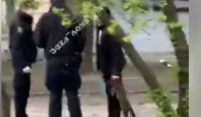 Карантин сводит с ума. В Харькове женщина убила кошку и гуляла с ней по улице (ВИДЕО)