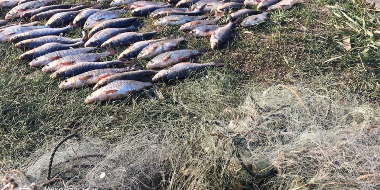 Николаевский рыбоохранный патруль поймал браконьеров с 114 кг рыбы (ФОТО, ВИДЕО)