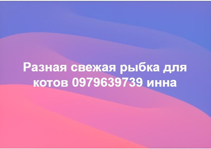 В Николаеве закрытые рынки перешли в онлайн и предлагают товары с доставкой (ФОТО) 40