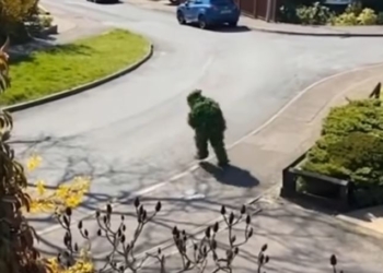 Карантин. Британец притворился кустом, чтобы “незаметно” выйти из дома (ВИДЕО)