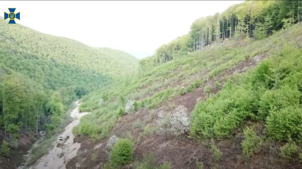 Масштабное хищение государственного леса на Закарпатье задокументировала СБУ (ВИДЕО) 1