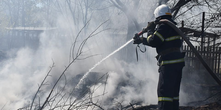В Николаеве на Намыве горел камыш и автомобильные шины (ФОТО)