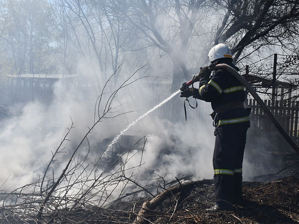 За сутки на Николаевщине горела хвойная подстилка в двух лесах и сухая трава и камыш на площади свыше 21 га 1