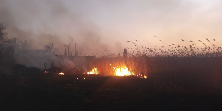 Опять поджоги. Траву и камыш жгли в Николаеве (ФОТО)