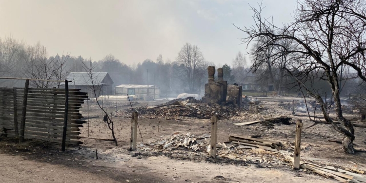 На Житомирщине авиация тушит масштабный пожар – уже сгорело более 80 домов (ФОТО, ВИДЕО)