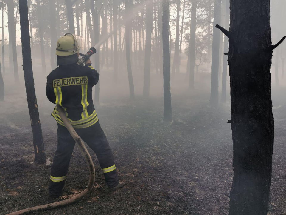 На Николаевщине за сутки спасатели дважды выезжали тушить пожары в лесу (ФОТО) 1