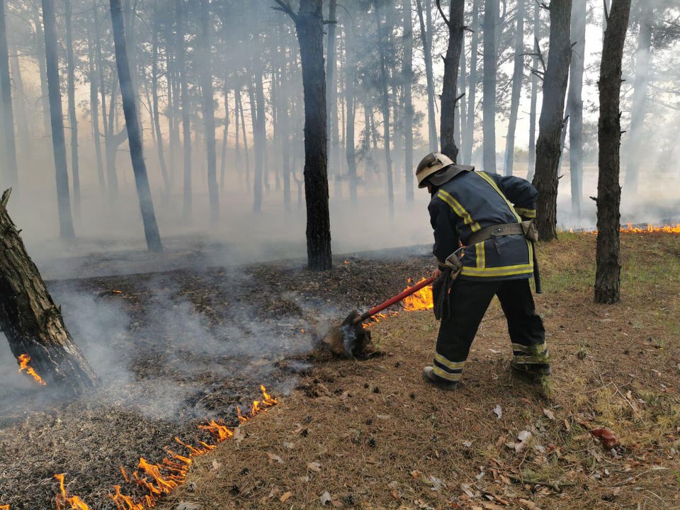 На Николаевщине за сутки спасатели дважды выезжали тушить пожары в лесу (ФОТО) 9
