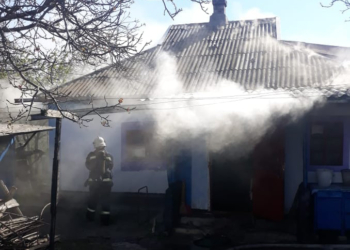 В Николаевской области на пожаре сгорели 2 человека (ФОТО)