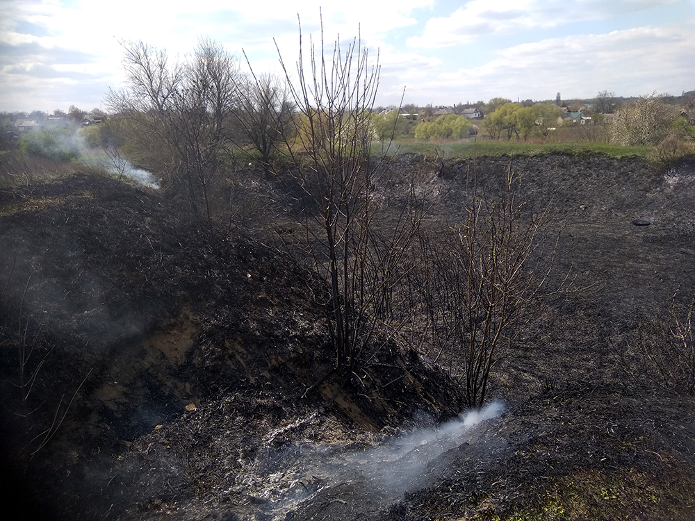 На Николаевщине объявлен 5 класс пожарной опасности - выгорело еще 2 га (ФОТО) 1