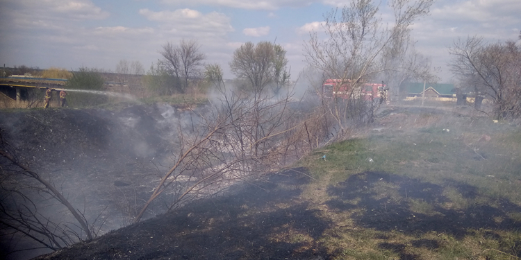 На Николаевщине объявлен 5 класс пожарной опасности – выгорело еще 2 га (ФОТО)