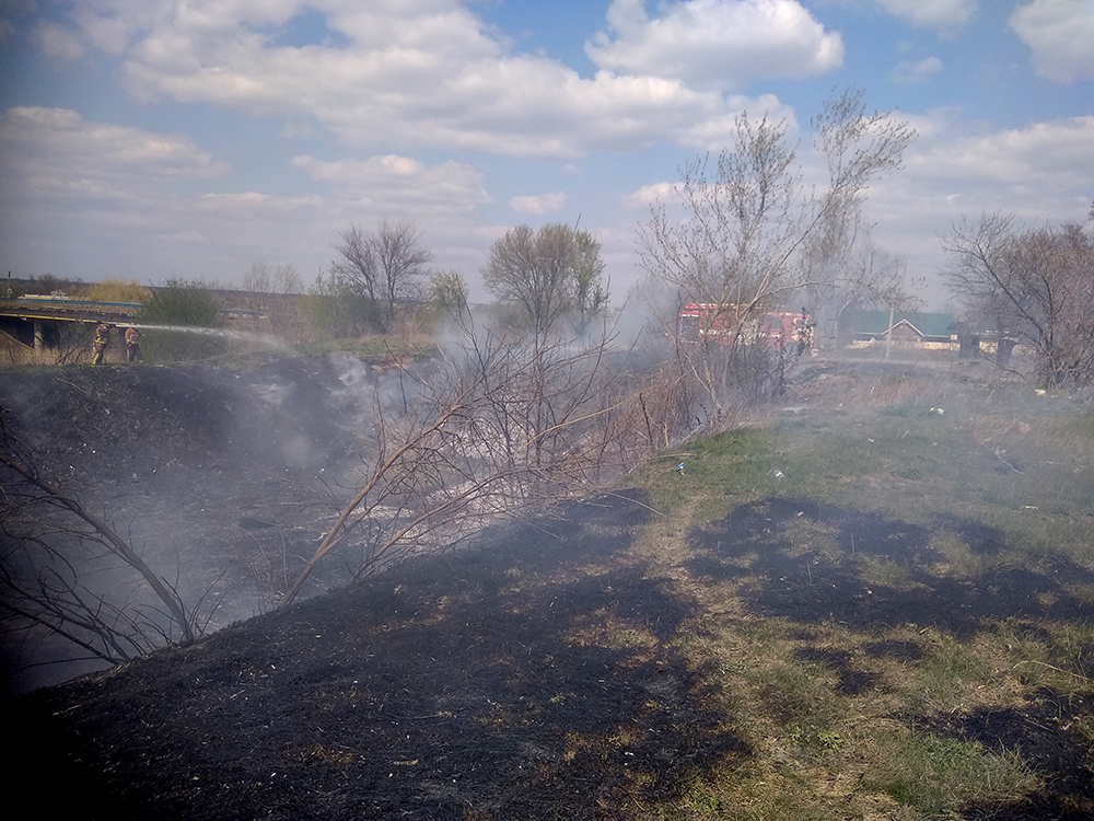 На Николаевщине объявлен 5 класс пожарной опасности - выгорело еще 2 га (ФОТО) 3