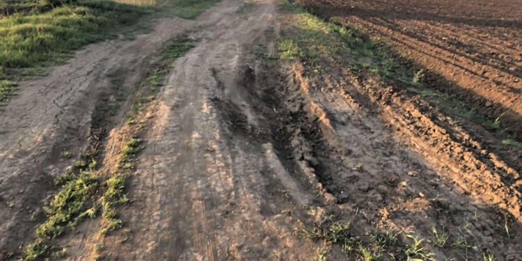 На Николаевщине молодой мотоциклист не справился с управлением – пострадала 15-летняя спутница