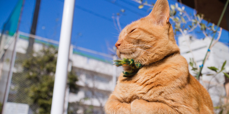 Завтра в Украине без осадков, температура до +16