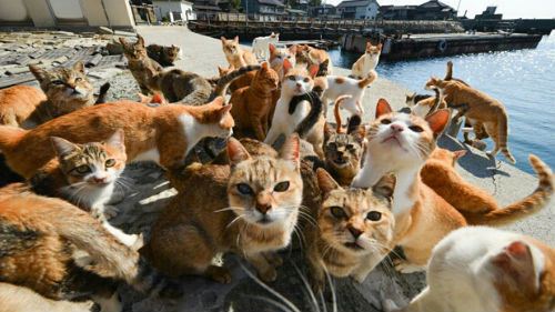 Завтра в Украине без осадков, температура до +12