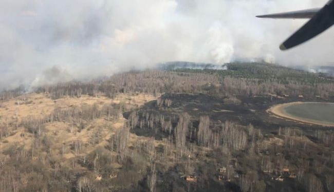 В Чернобыльской зоне горят торфяники
