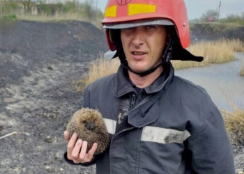 В Новоодесском районе выгорело 2,5 га камыша (ФОТО)