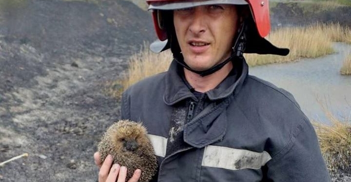 В Новоодесском районе выгорело 2,5 га камыша (ФОТО)