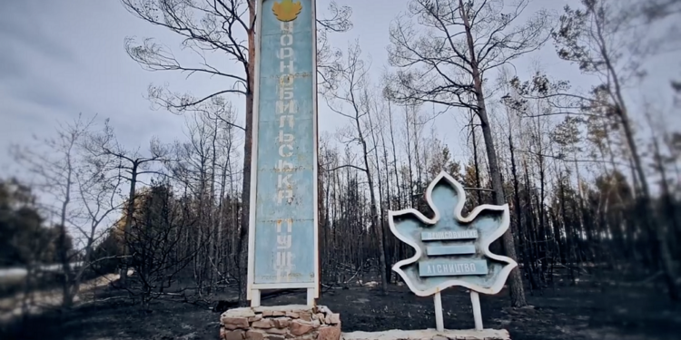 Опубликовано душераздирающие видео сгоревшего леса в Чернобыле