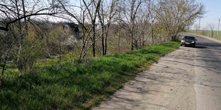 В Николаеве убрали от мусора обочины дороги, ведущей на городскую свалку (ФОТО)