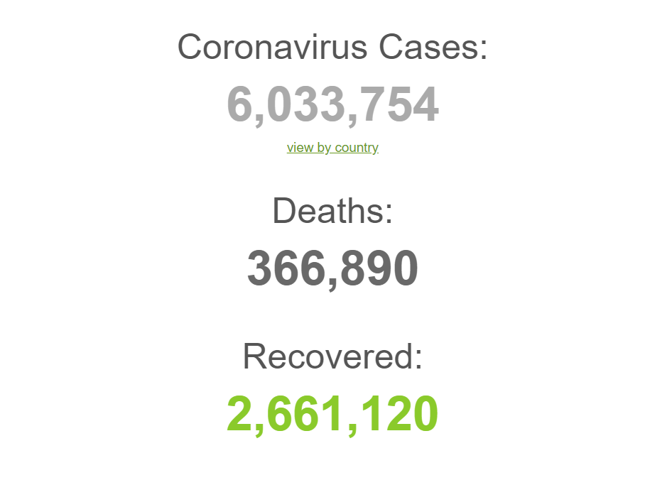 Количество инфицированных коронавирусом в мире превысило 6 миллионов человек 1