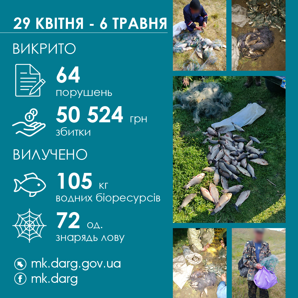 За неделю Николаевский рыбоохранный патруль изъял у браконьеров 105 кг рыбы (ИНФОГРАФИКА) 1