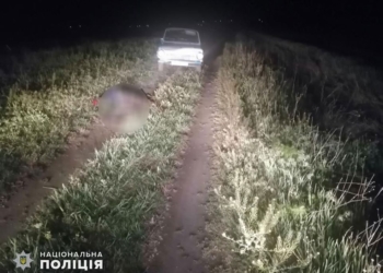 На Николаевщине ночью на полевой дороге насмерть задавили мужчину (ФОТО)