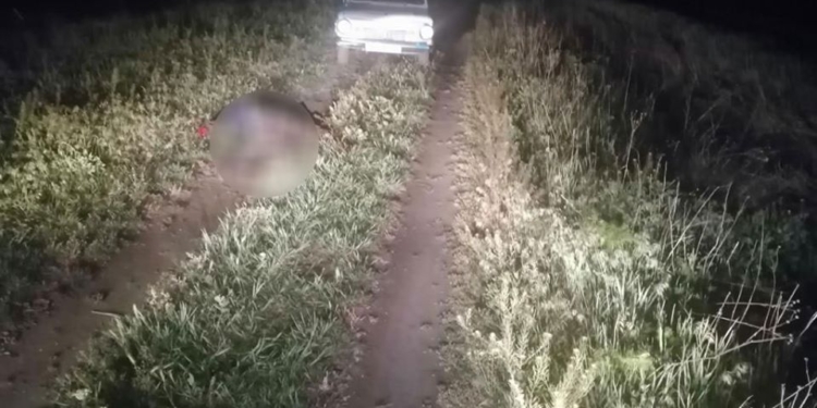 На Николаевщине ночью на полевой дороге насмерть задавили мужчину (ФОТО)