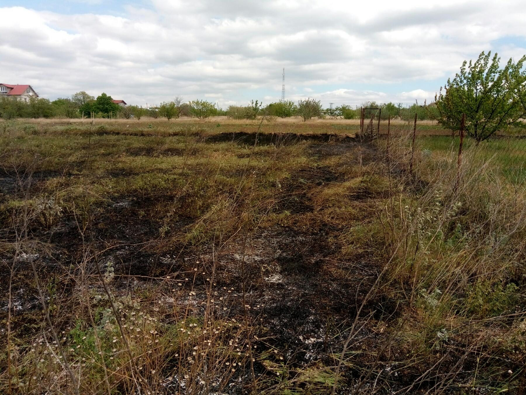 За сутки на Николаевщине выгорело 4,5 га открытых территорий (ФОТО)