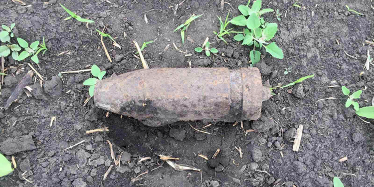 Пиротехники ГСЧС обезвредили артснаряд калибром 76 мм, найденный в Баштанском районе пастухом (ФОТО)