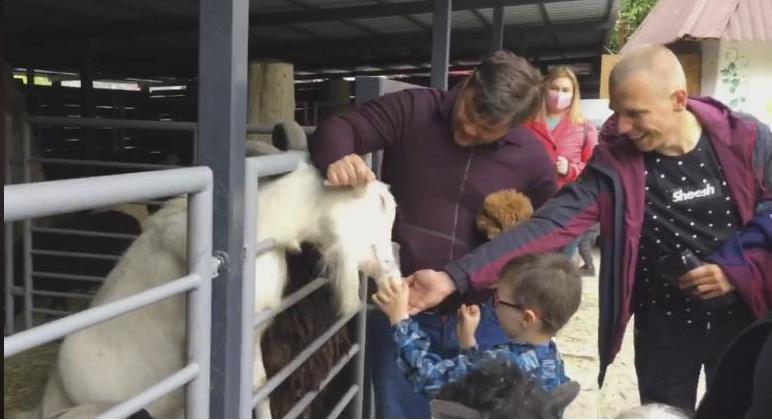 Экс-глава ОП Богдан оттаскал козла за рога – в отношении него инициируют дело по статье за жестокое обращение с животными (ВИДЕО) 1
