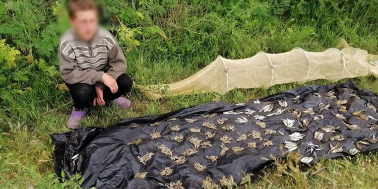 А ведь запрещено. В Очаковском районе на лимане браконьер сетями добыл рыбу и креветку (ФОТО)