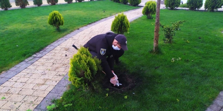 Ночной взрыв в Новой Одессе: полиция Николаевщины разбирается, кто бросил во двор гранату (ФОТО)