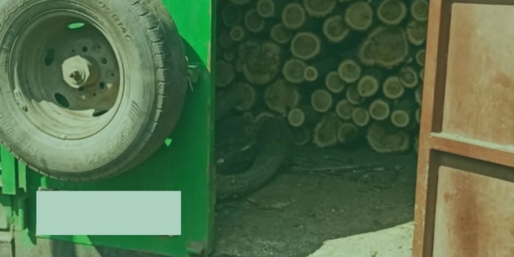 В Арбузинском районе Николаевщины «черные лесорубы» спилили акации