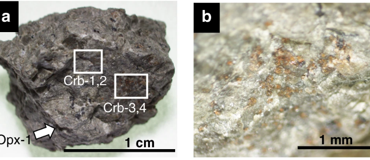 В марсианском метеорите, найденном 36 лет назад, обнаружили органические молекулы