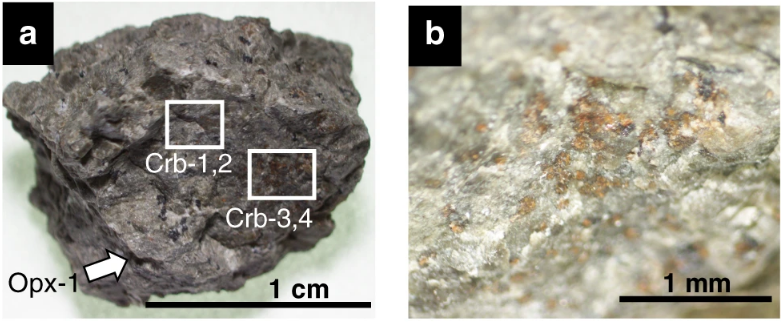 В марсианском метеорите, найденном 36 лет назад, обнаружили органические молекулы 1