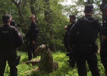 Полиция с оружием и вертолетом “поймала” скульптуру тигра