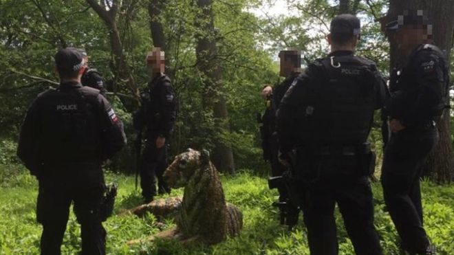 Полиция с оружием и вертолетом «поймала» скульптуру тигра