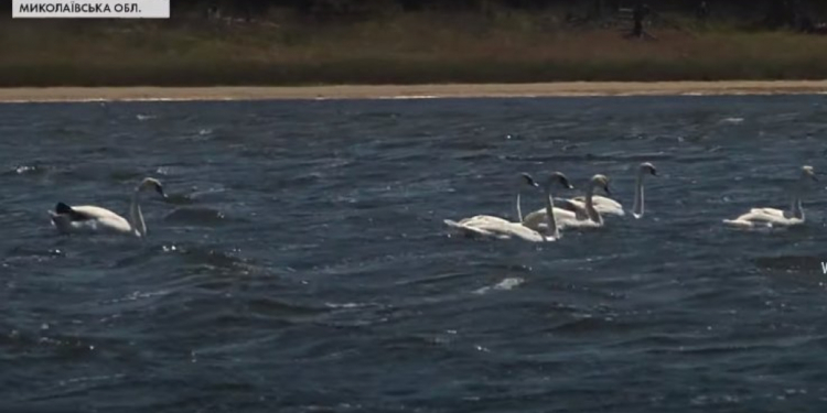 На Кинбурнской косе с опаской готовятся к туристическому сезону – боятся пожаров (ВИДЕО)