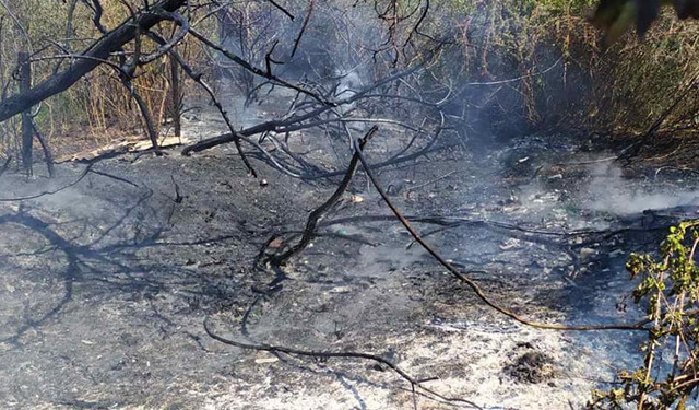 Первомайский пожар: под Николаевом тушили сухую траву у дач (ФОТО)