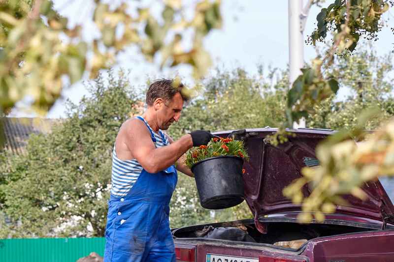 Сделать мир лучше может каждый. Волынский скульптор 20 лет засаживает обочины дорог цветами (ФОТО, ВИДЕО) 6