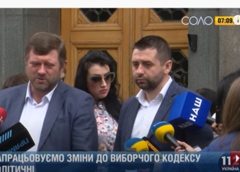 Чуть помедленнее, партии. Кандидатами в мэры смогут быть самовыдвиженцы (ВИДЕО)