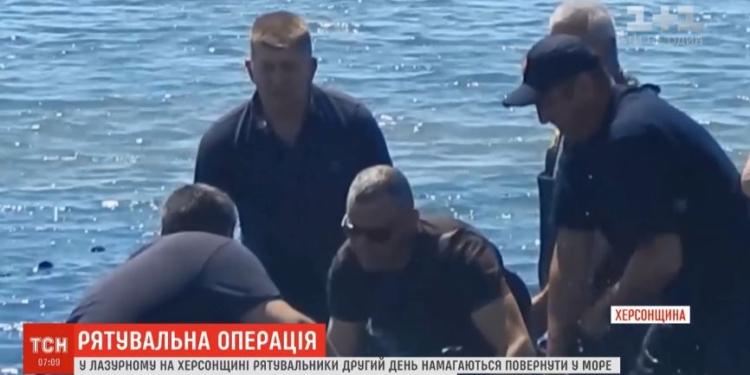 В Лазурном остановили операцию по спасению дельфинов. Они справятся сами? (ВИДЕО)