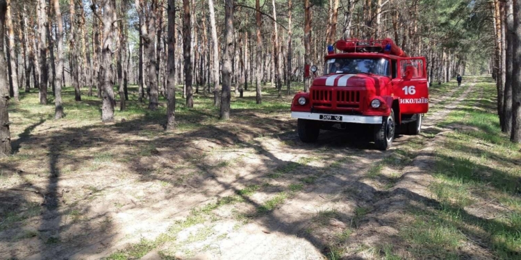 Кто-то поджег Мешково-Погореловский лес. Тушили спасатели (ФОТО)