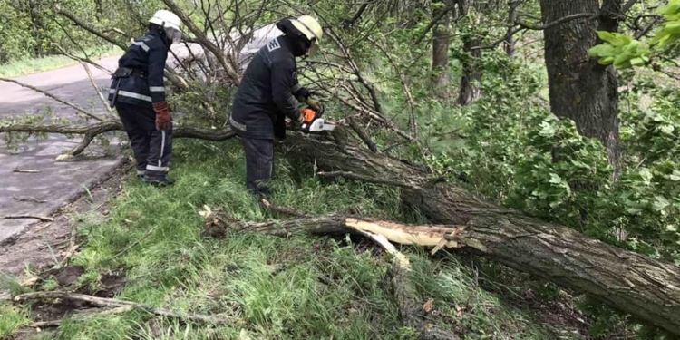 На Николаевщине спасатели оперативно убрали два дерева, упавших на дорогу (ФОТО)