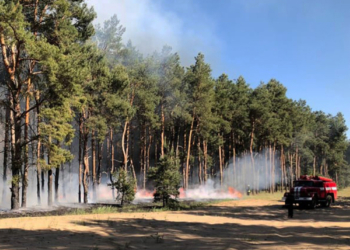 В Вознесенском, Витовском районах области и в Корабельном районе Николаева горел лес – виноваты поджигатели (ФОТО)