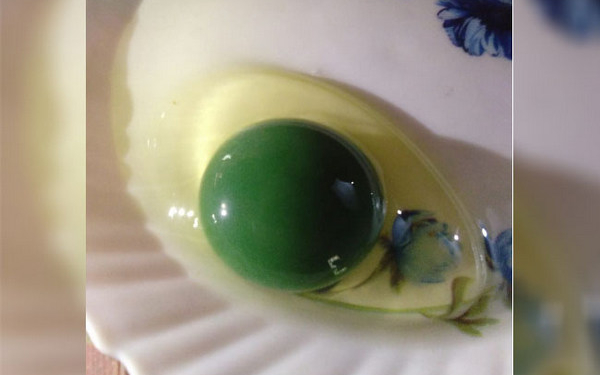 Курица в Индии несет яйца с ярко-зеленым желтком – фермер доказал, что это не фейк (ФОТО и ВИДЕО)