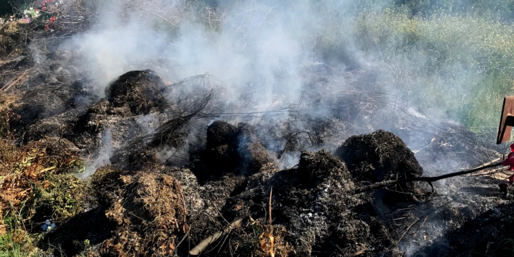 На открытых территориях Николаевской области ликвидировали 4 пожара, вызванных неосторожным обращением с огнем