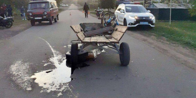 Во Врадиевке подросток на мотоцикле врезался в мотоблок (ФОТО)