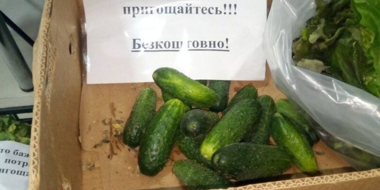 Вынужденная благотворительность. Украинские фермеры раздают ранние овощи бесплатно (ФОТО)