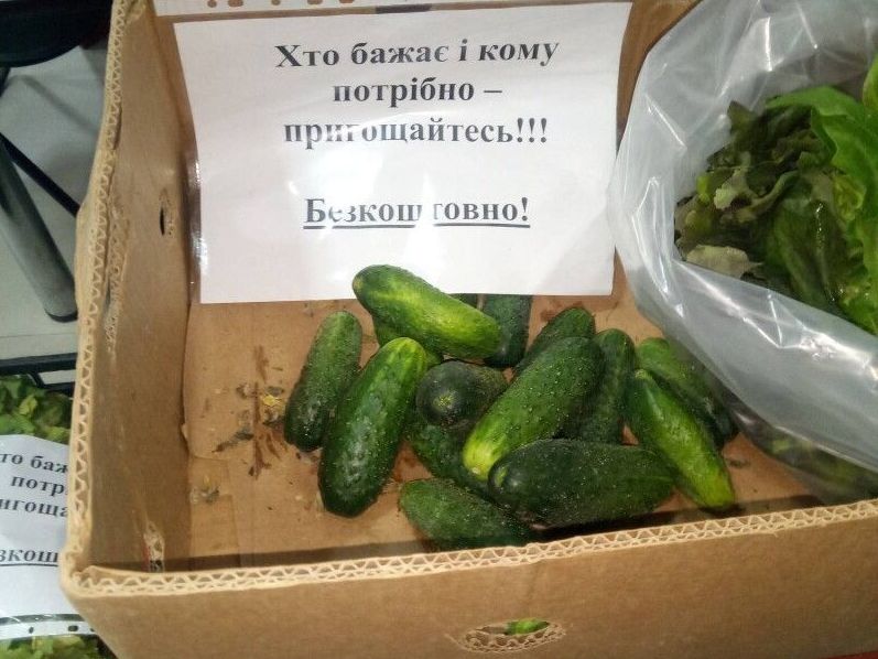 Вынужденная благотворительность. Украинские фермеры раздают ранние овощи бесплатно (ФОТО) 5
